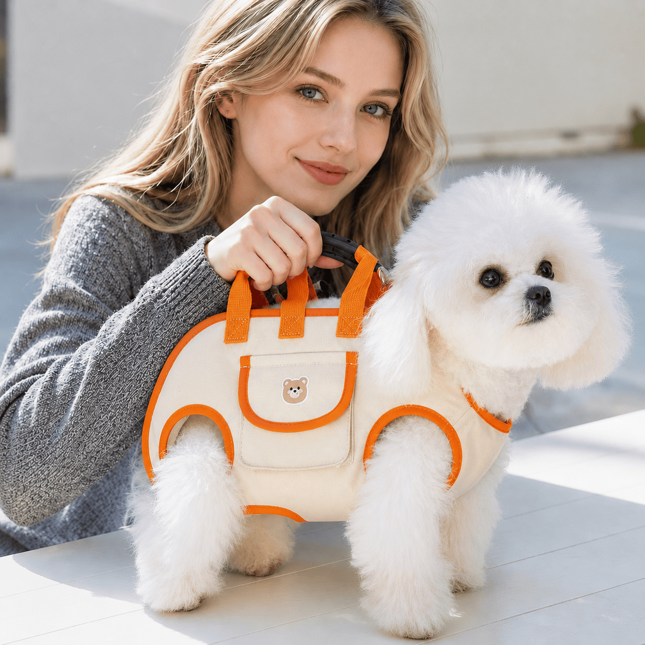 Cargador Maleta De Mascotas